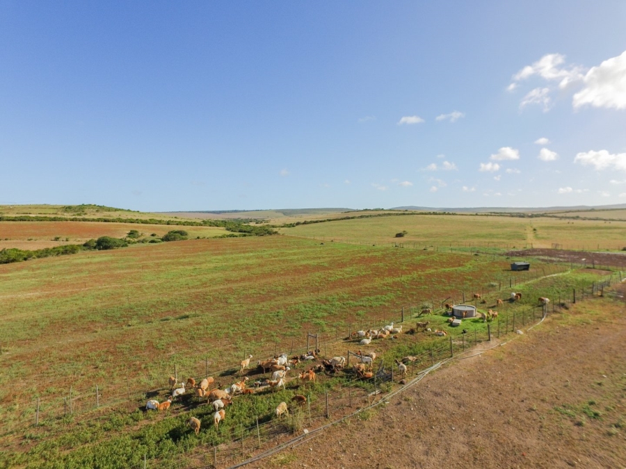 Commercial Property for Sale in Hartenbos Rural Western Cape